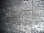 P1080244.JPG